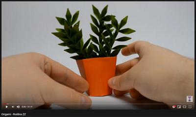 mt_ignore:origami - roślina ZZ